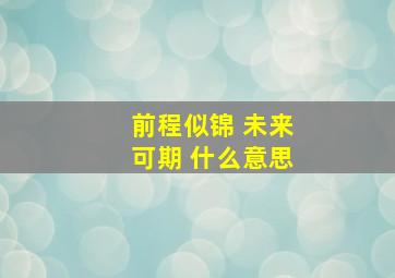 前程似锦 未来可期 什么意思